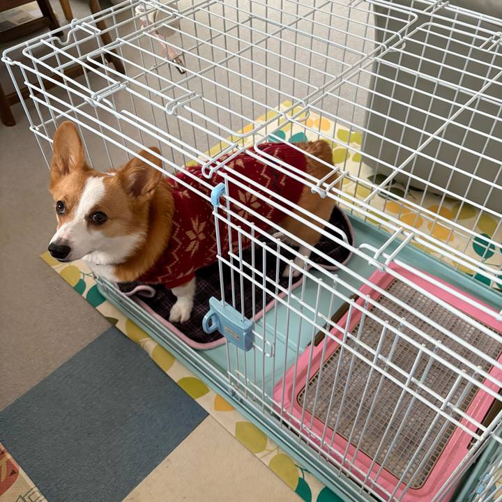 C5beea87 865d 4a86 a61c 95b6fb515f4f 1768978755883