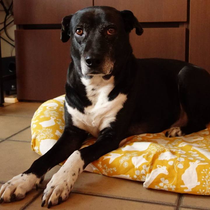 C5bf2c64 17e9 4f66 afd6 f09b00ff2d0f 1739495227376