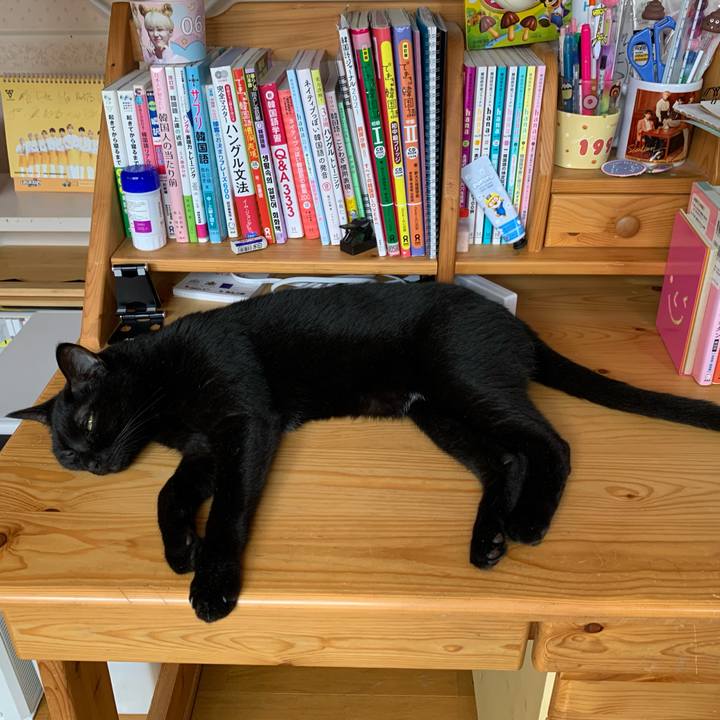 C5bf3630 934d 4250 a559 ffe47a8a284b 1630124712174