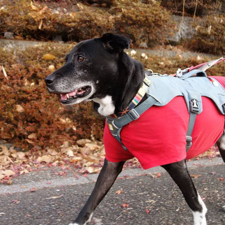 C5bf3775 9e47 41c0 b8a6 93839719be39 1735343568589