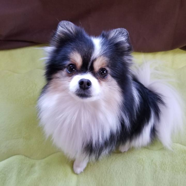 C5bf4672 4e26 4d3e 9c63 af0b848ac7c0 1547857566285