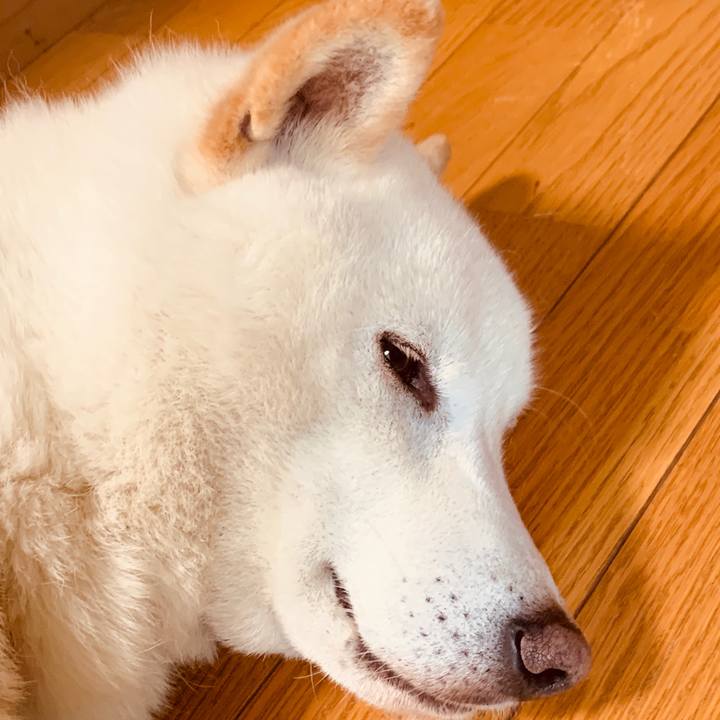 C5bf6764 18e7 40f7 b4f9 d825a36005aa 1590533468988