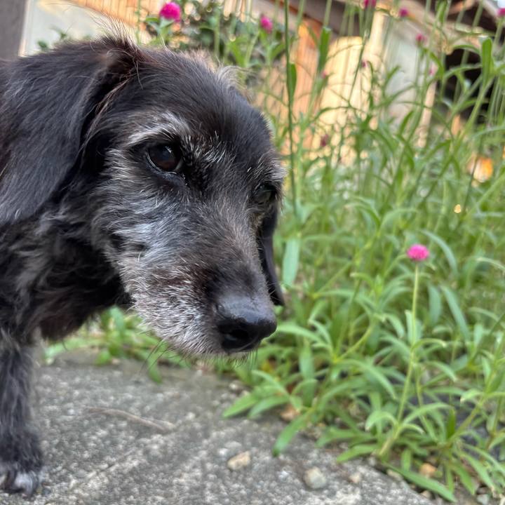 C5bf7ae4 ab78 4c0d a21c 1c9c8831636b 1756077142542