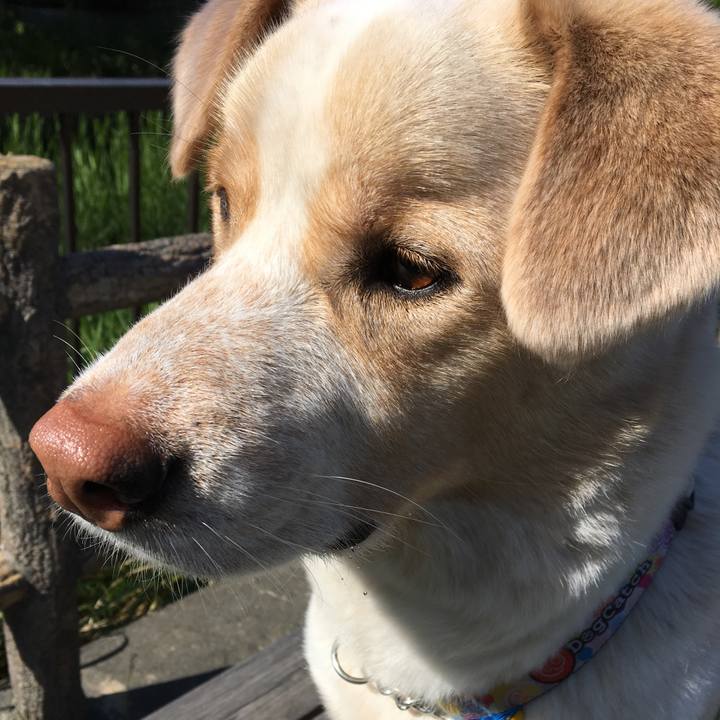 C5bf8395 14d1 4cab bf48 2694ed476176 1525484040311