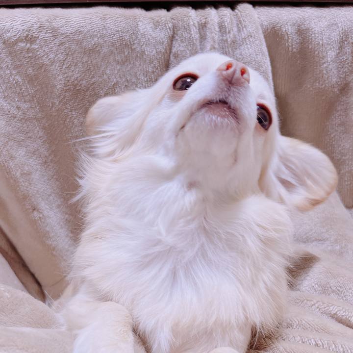 C5bf95f6 51d9 4407 9ef7 f47501aa2c4a 1679909057109