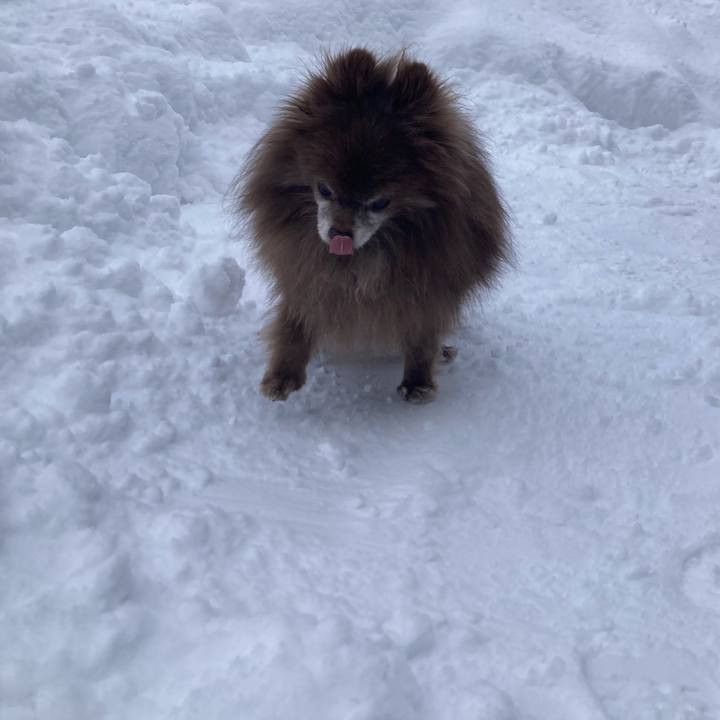 C5bff17f 44d0 4004 bbde 5df17b6ab6e9 1709670263946