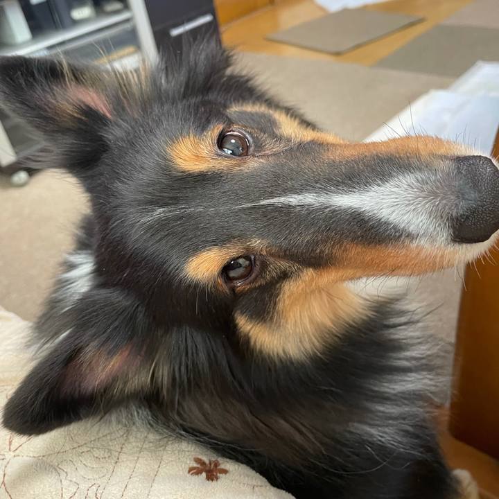 C5bff1f4 281e 4dde aad5 72307c7c9ccb 1642113396745