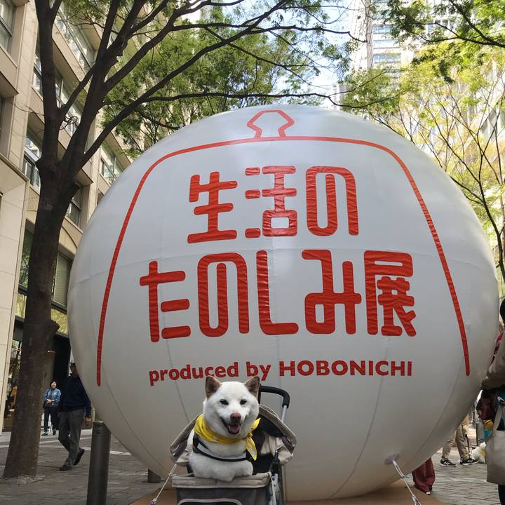 C5bffede 9702 4ee1 9dd0 cac3a64c4030 1555802827197