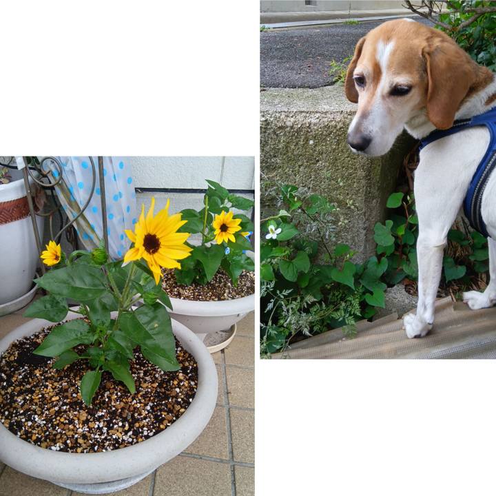 C5c03b74 f785 4be9 a50d a0044186bb6d 1748164712560