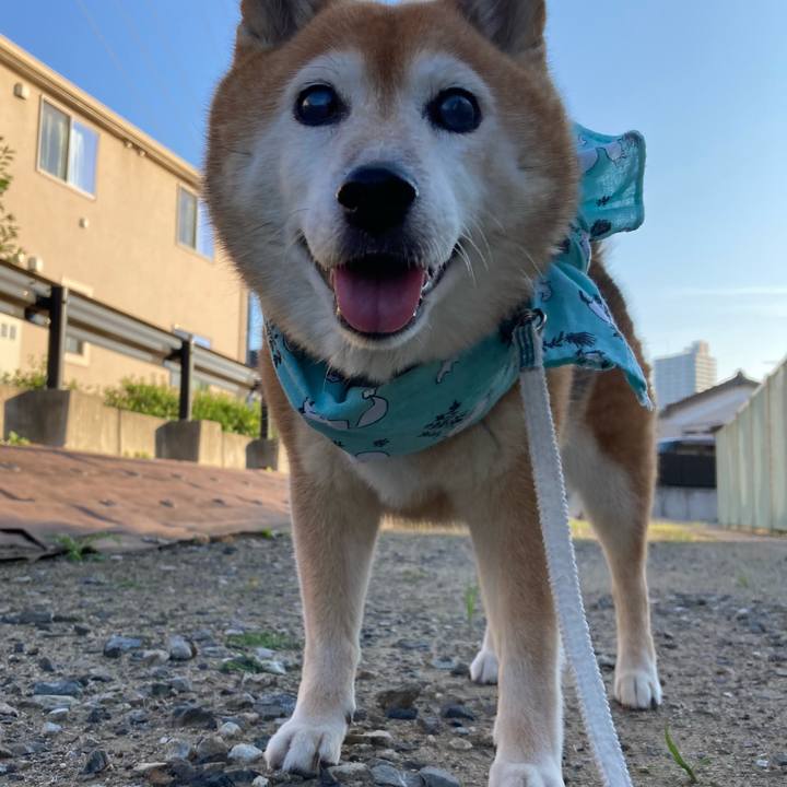 C5c06fb2 611c 434e 94a2 85cd9e4c0a77 1721554819342