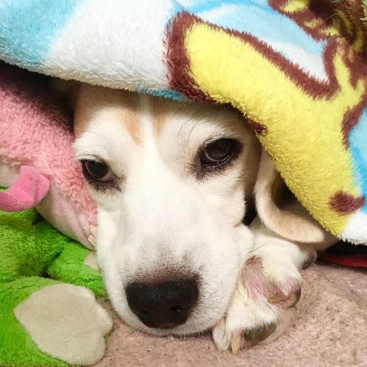 C5c09bcf 6b93 4c2e 9144 2e52bf06b315 1571888275551