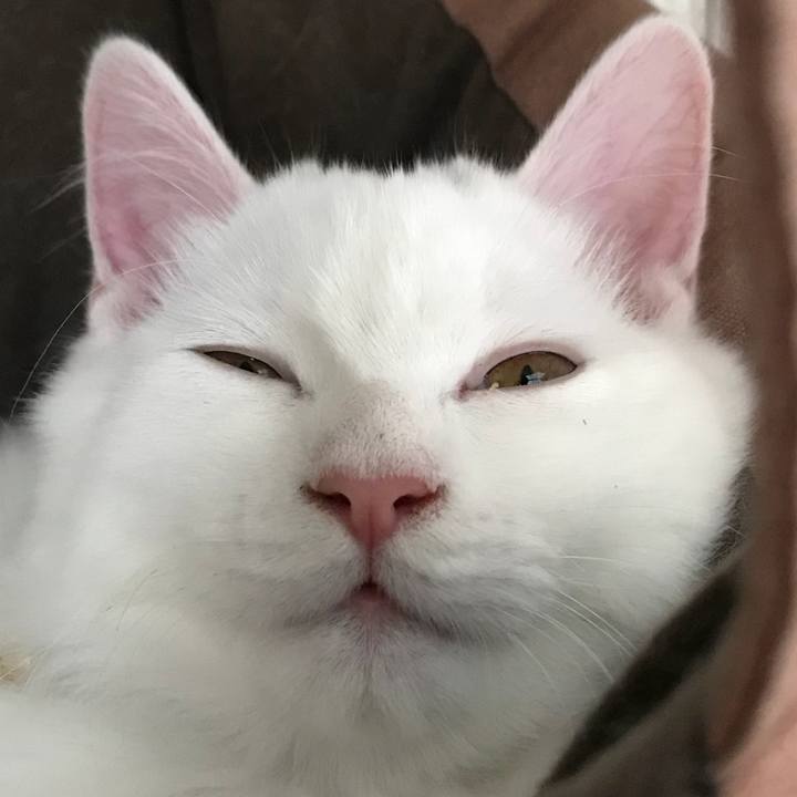 C5c0b52f 25d3 45a1 99da feefb7fa2e4b 1510455664011