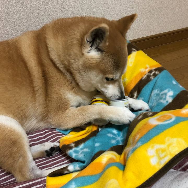 C5c0d674 b4c0 468a a9e7 81a3d3a20e01 1584008930260