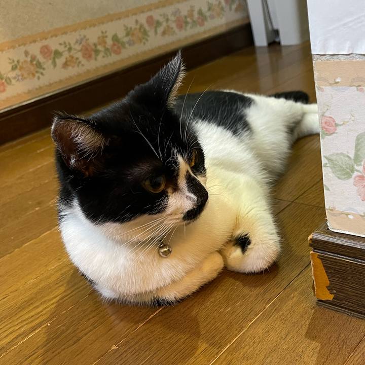 C5c0e7f7 94df 4792 95d0 e1cbc732c2fb 1756853550349