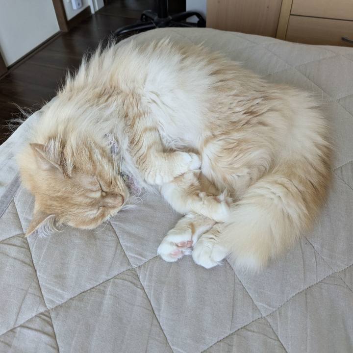 C5c0ee54 96bc 4521 ad9d c18cccf09ecb 1751071669590