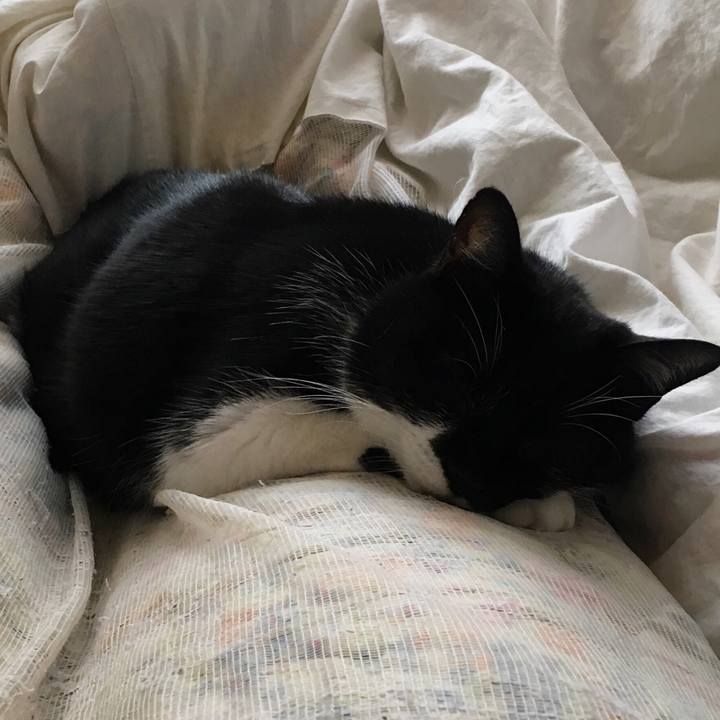 C5c13e06 882f 420e a41a 4cd2c9d5c27b 1555163412583