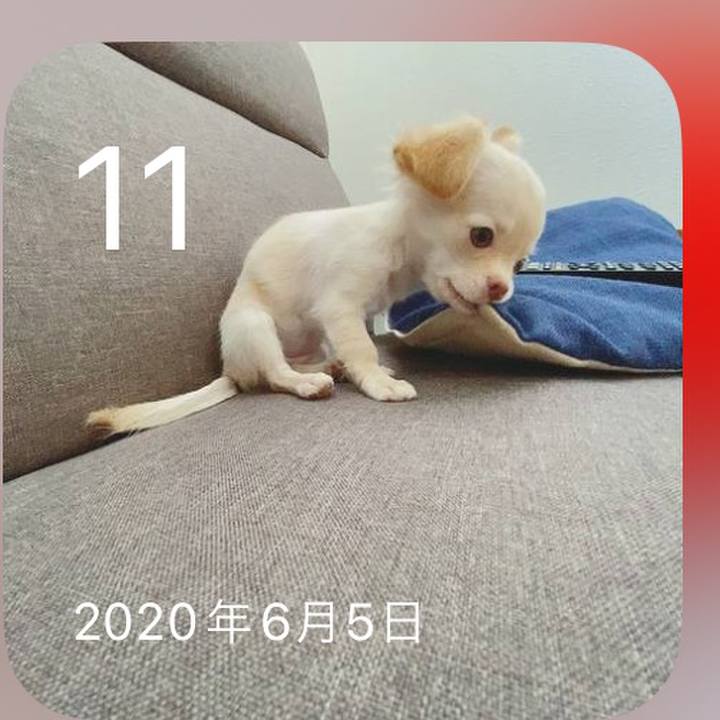 C5c163e7 1202 48f4 a788 19b9c8927bec 1718104691983