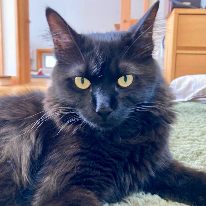 C5c16d9b 3623 45e0 9b73 d286f8812677 1727769263560