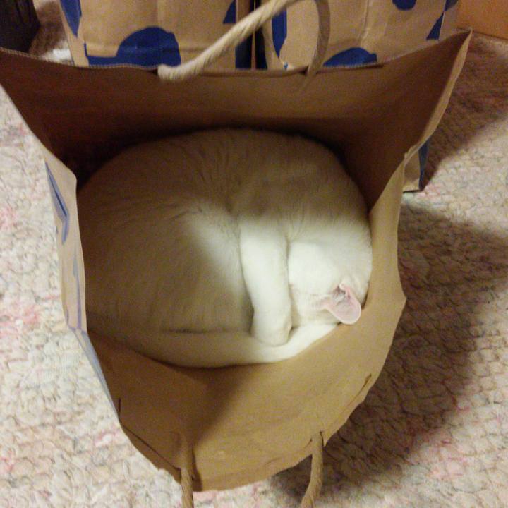 C5c1a783 37e3 4ff2 828a cfb8c43d7703 1522410817185