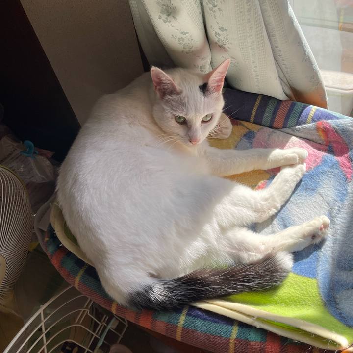 C5c1dca3 d8ea 48ee 8ae2 4b785fa56072 1762740528421