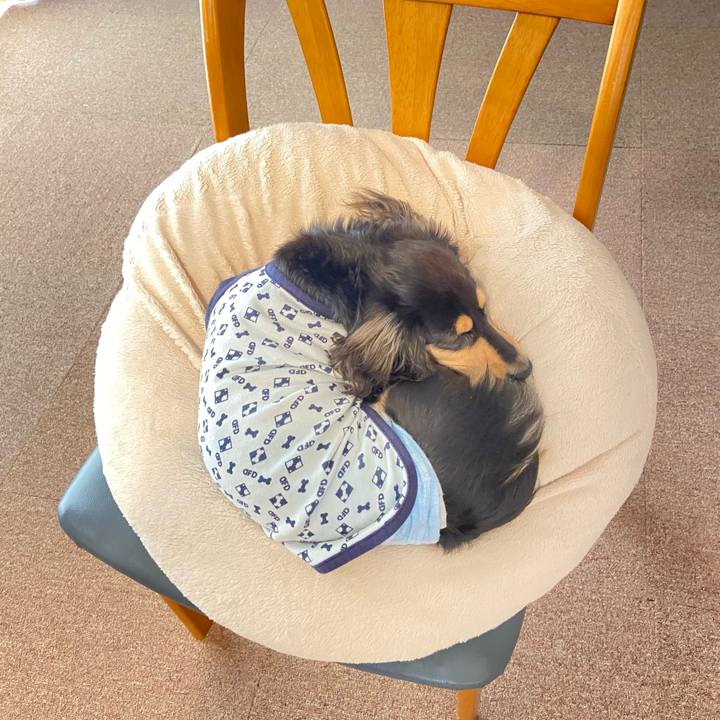 C5c1dfd9 e7a8 44a7 afde 91cb6f3945b3 1680936592657