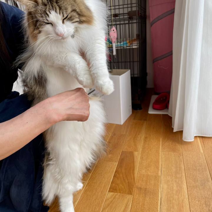 C5c20ddd d7db 4c87 9b58 ef60304a1207 1617249224321