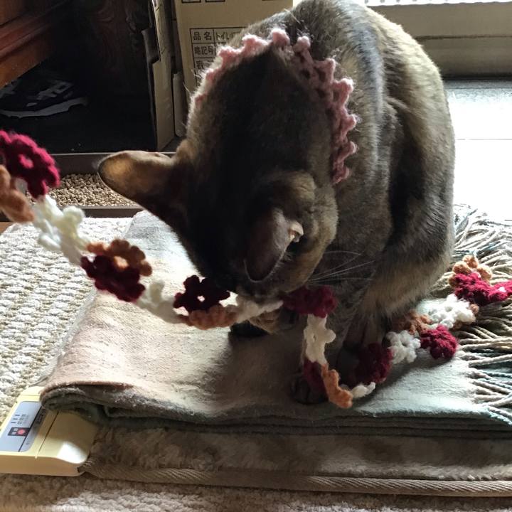 C5c213ad 5aef 4540 9d0f 3f969815369d 1590314374159