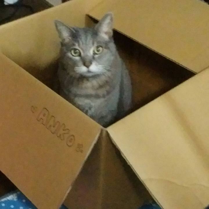 C5c228ed 7420 4fc5 82df a7eab18f831c 1550826978119