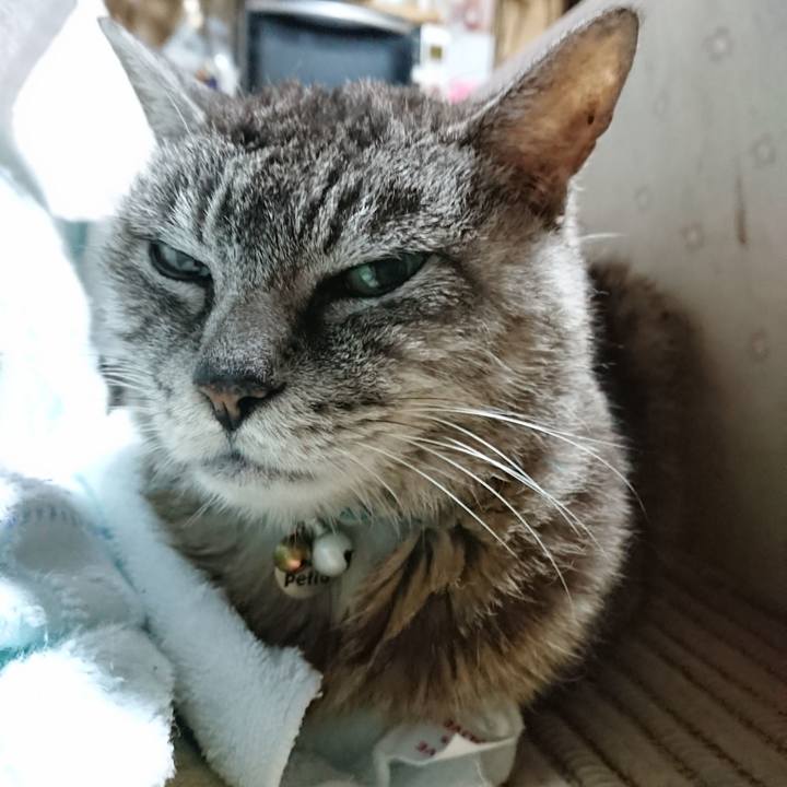 C5c24296 78f5 426e a772 368df7f6778b 1567801778083