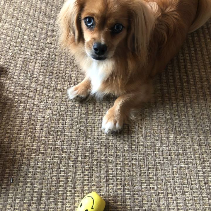 C5c250e4 1b01 497a 84f1 255ec1873f92 1537743149487