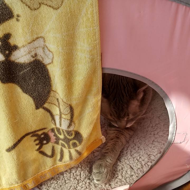 C5c28ee1 713f 44af 97c9 0e1bfab7ff6e 1645578276414