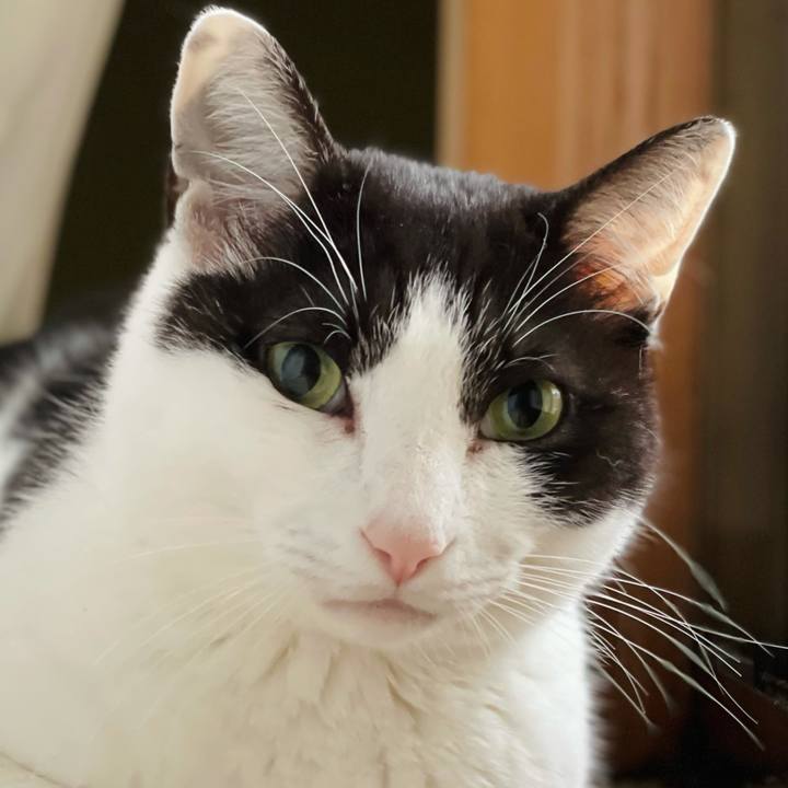 C5c29c3d 6597 4834 9e7f 04db74fb8382 1620698864153