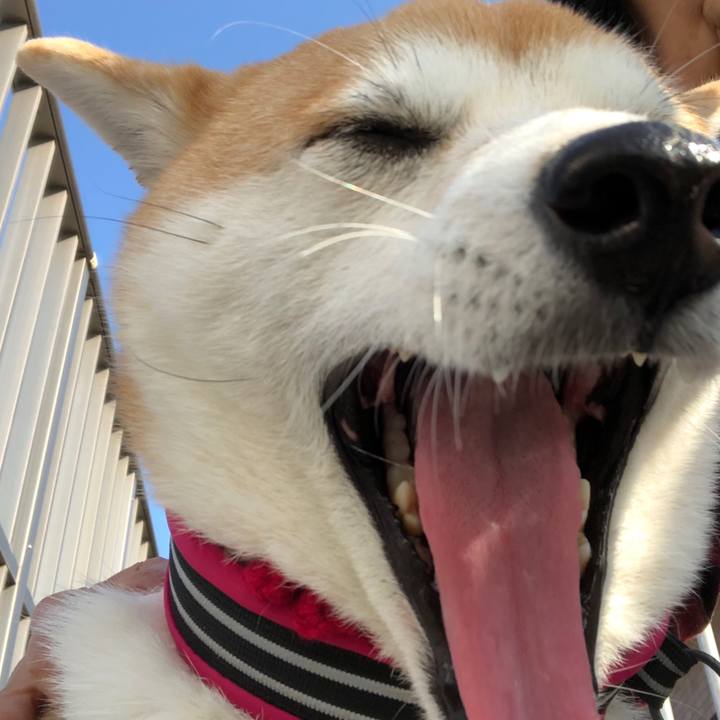 C5c29e72 4eca 4992 a637 568a9d64db75 1543295087353