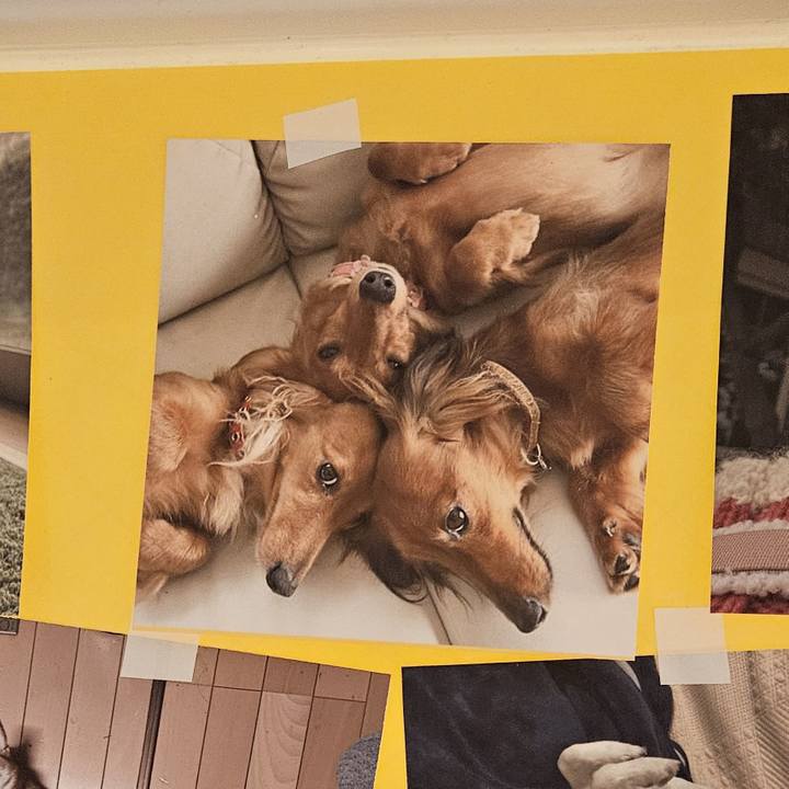 C5c2a0dc 1596 4767 98c1 3b1401c88c94 1776600559377