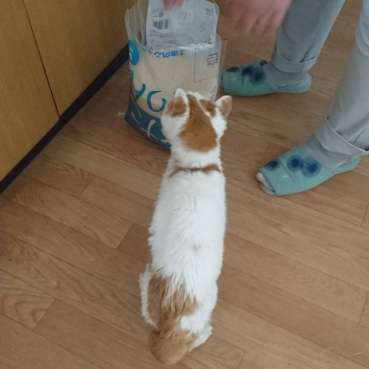 C5c2c4d0 953d 4f69 b0f7 2589c8ebd2e9 1625382974494