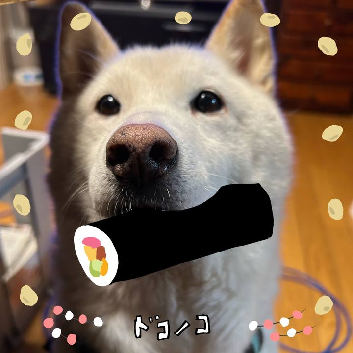 C5c2c993 9e31 4fe3 bf6c 1c20e0b16556 1741424535513