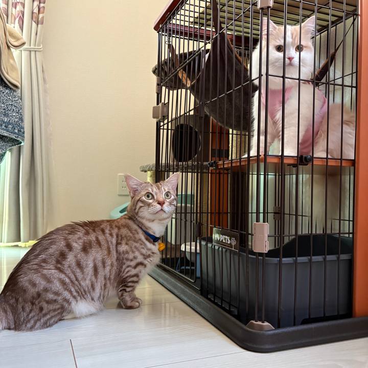 C5c2db31 0266 41ba a07a 08fabeddff6b 1758847055012