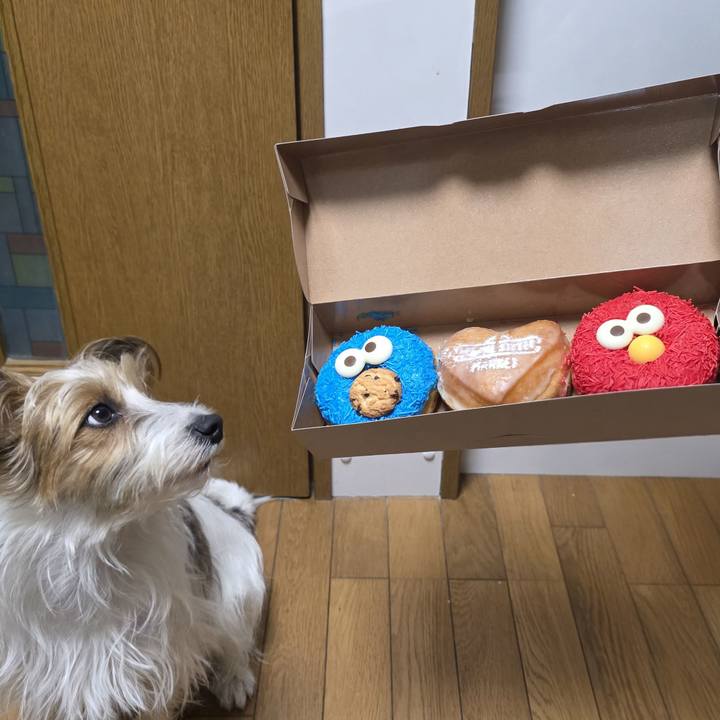 C5c2f1d1 fb0b 4906 8f0d bda49f08b21a 1773988996907