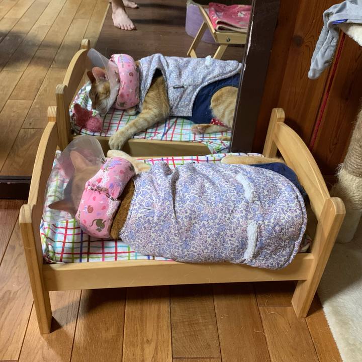 C5c2f2b5 3567 4de8 8044 871d41351bac 1620999252755