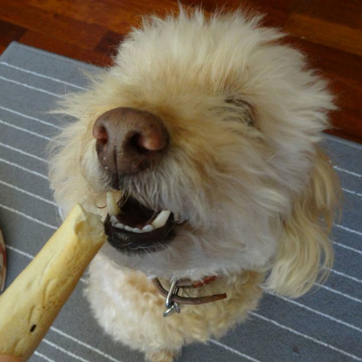 C5c31b1b e571 4038 aa8f 1a31fca20e3b 1554922923546