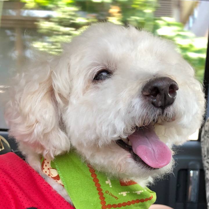 C5c32e5c 5b9a 4bff a826 7d6aa866142d 1533956864211