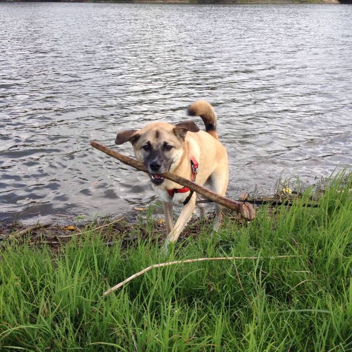 C5c354af d440 4f37 9db9 864c16a30f22 1535856183010