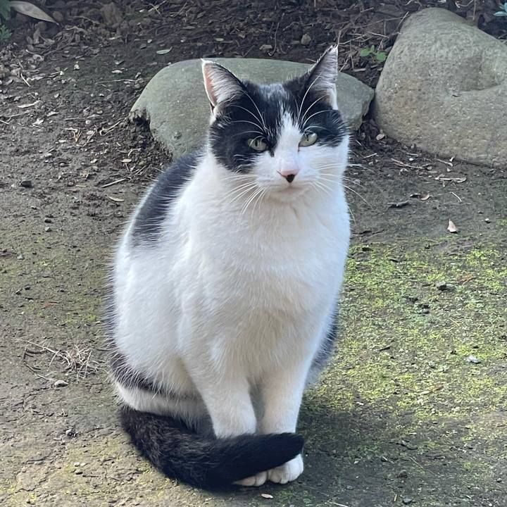 C5c36912 dbe2 488a bef6 83cf109b1b7a 1637015126264