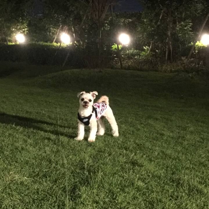 C5c38a73 cb37 4d7d 879d 8794b63bf2be 1538391486022