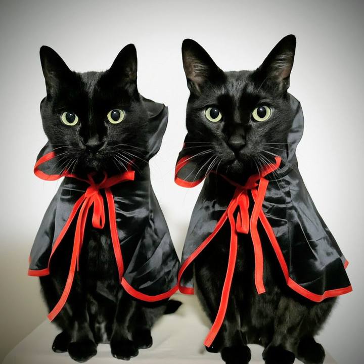 C5c3e27f 8edd 4d32 be7c 224bdbe03da5 1761914944919