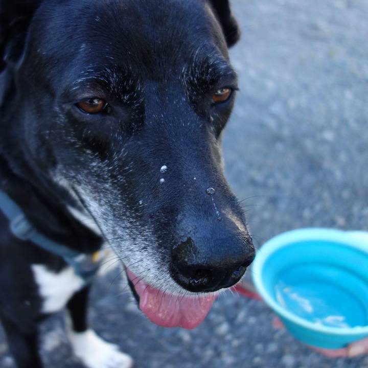 C5c3e3e9 1dfe 4277 aff3 38757240e106 1715309020870