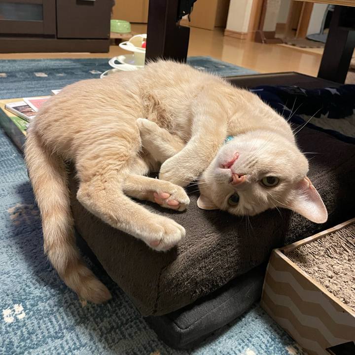 C5c3f1b5 eba0 430c 9923 29984f702b1a 1686573214310