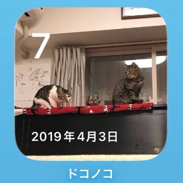 C5c410af f33b 4eb8 8554 9853d5809a62 1775523783429