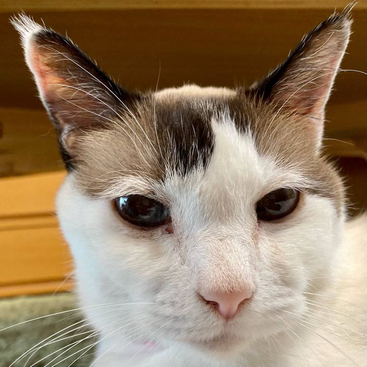 C5c41783 2a8b 4c5a 9ab0 6a5a2cfb9a26 1660366269503