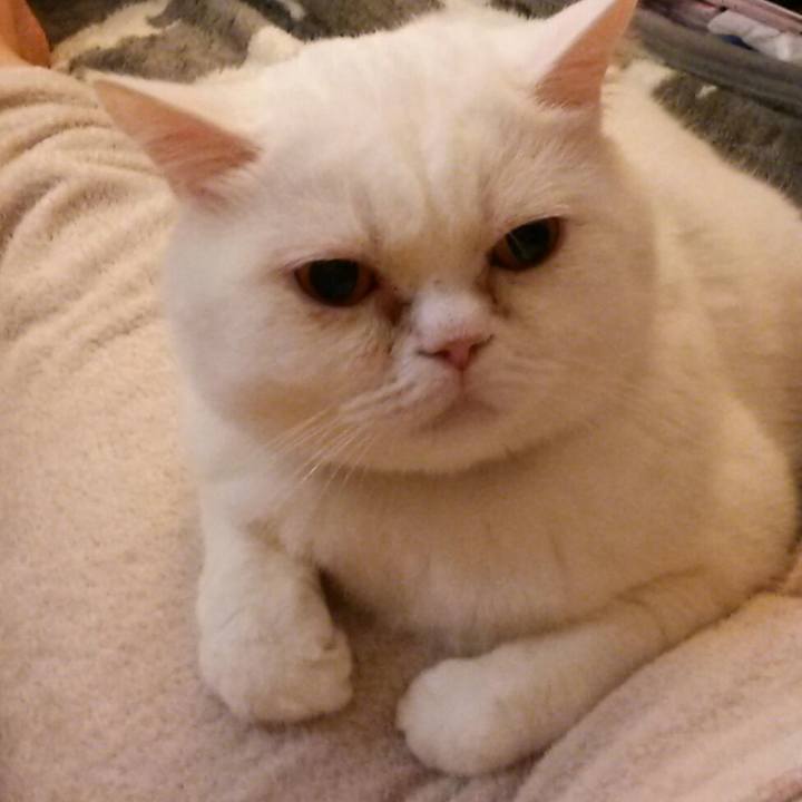 C5c42b1f da79 4618 8dcf d78cb5c42768 1526110708451